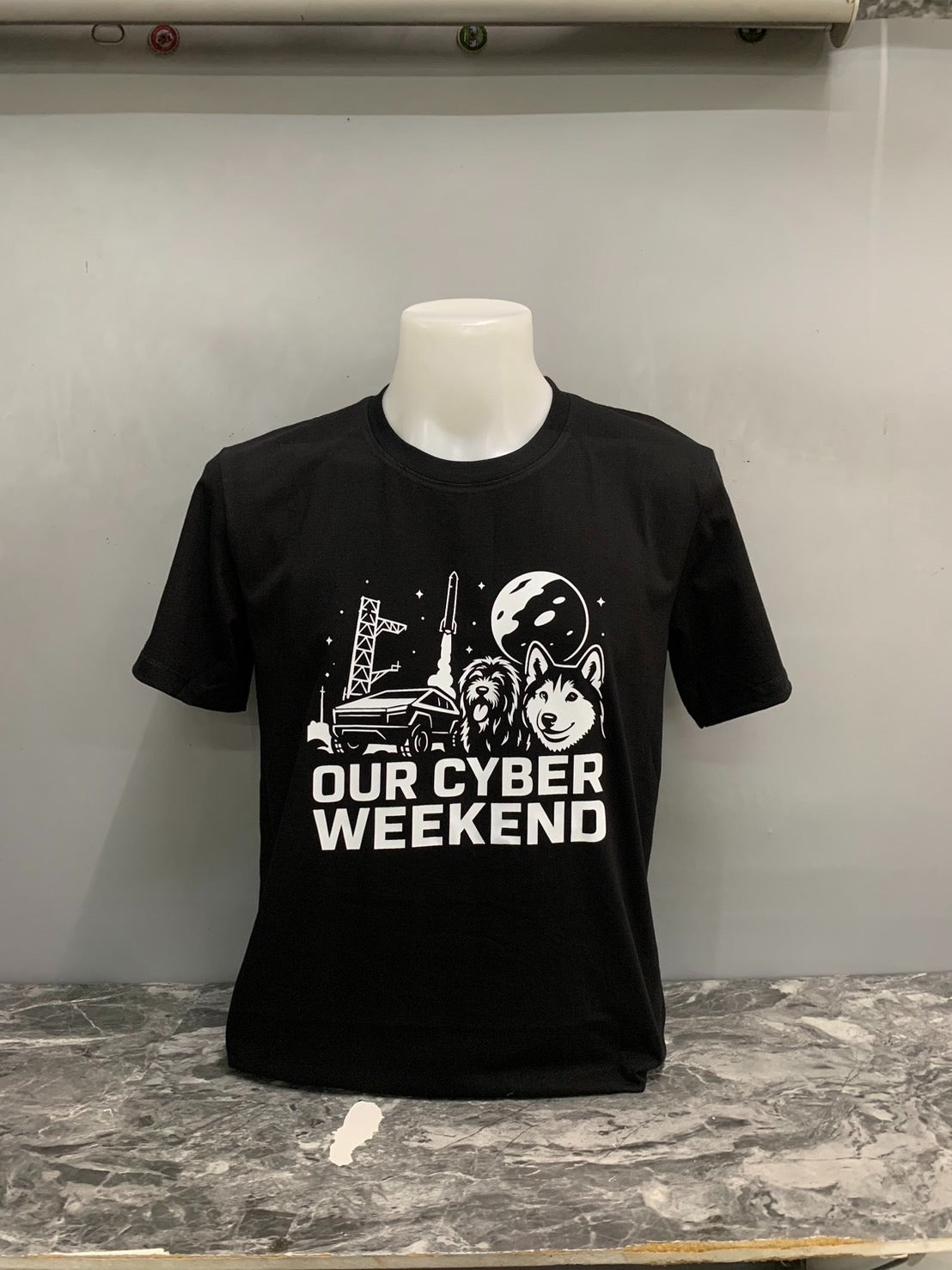 Our Cyber Weekend – Mars Mission Edition